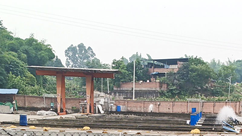 1691563490566067.jpg 4.jpg