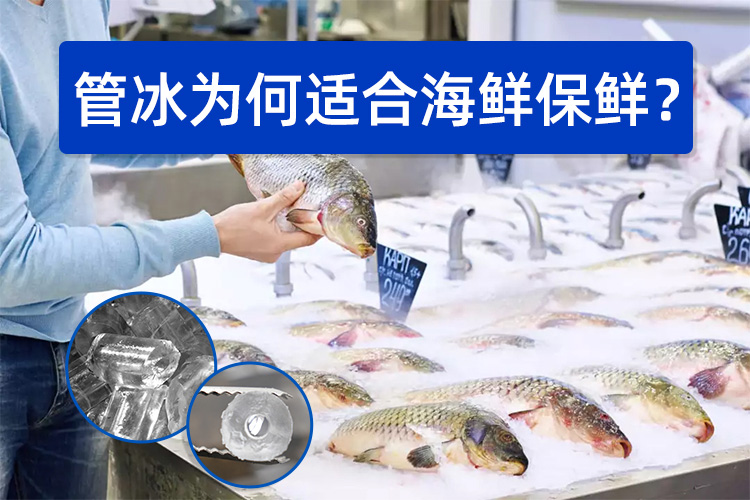 管冰为何如此适合海鲜保鲜？