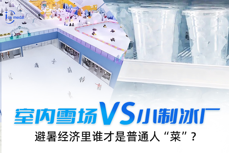 室内雪场VS小风暴娱乐，避暑经济里谁才是普通人“菜”？